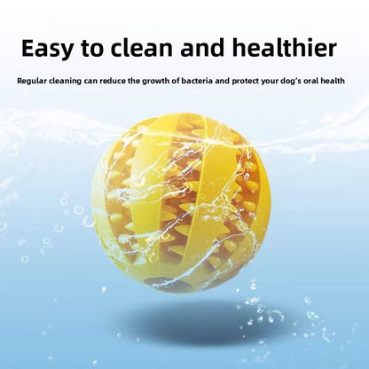ChewBuddy Interactive Teething Ball