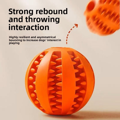 ChewBuddy Interactive Teething Ball